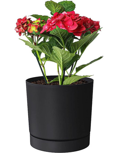 Prosperplast Vaso Piante Cilindro con...