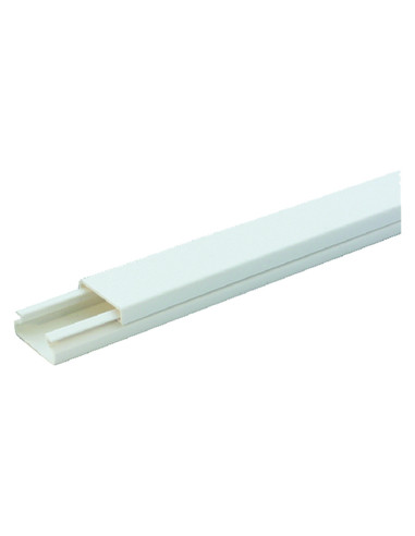 Canalina Passacavi mm 30 x 10 - mt. 2...