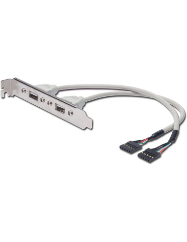 Cavetto Slot USB 2.0 2x 5pin