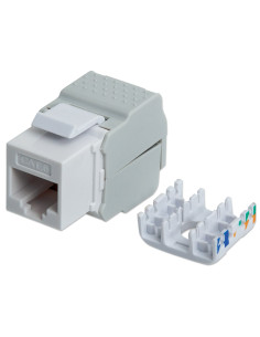 Frutto Keystone RJ45 UTP... 2