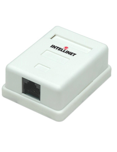 Presa a Muro con Frutto RJ45 Cat. 5E...