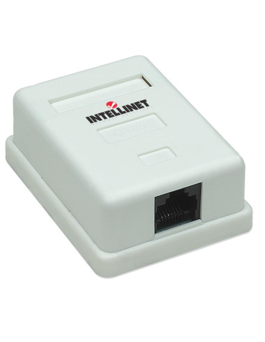 Presa a Muro con Frutto RJ45 Cat. 5E...