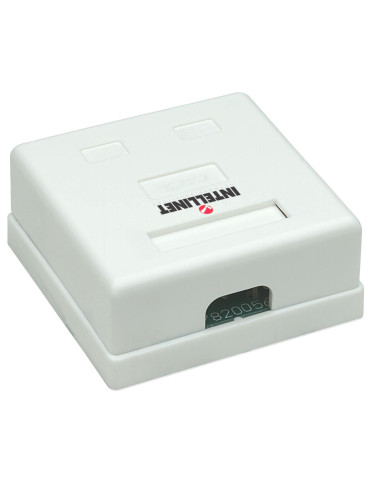 Presa a Muro con 2 Frutti RJ45 Cat....
