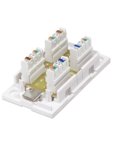 Box per Connessioni di Rete Cat6 UTP