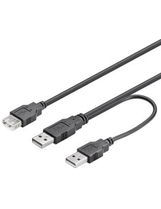 Cavo USB 2.0 ad Y 2xA...
