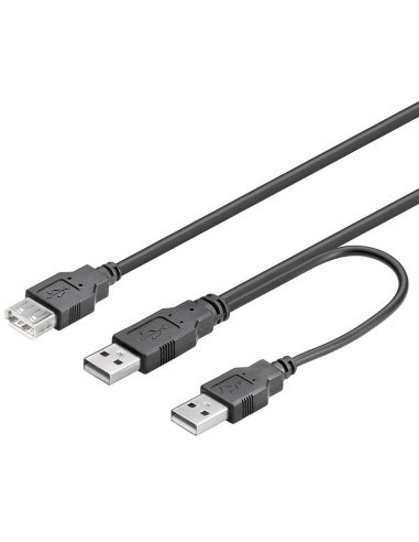 Cavo USB 2.0 ad Y 2xA maschio/A...
