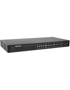 Switch 24 porte Web-Managed... 2