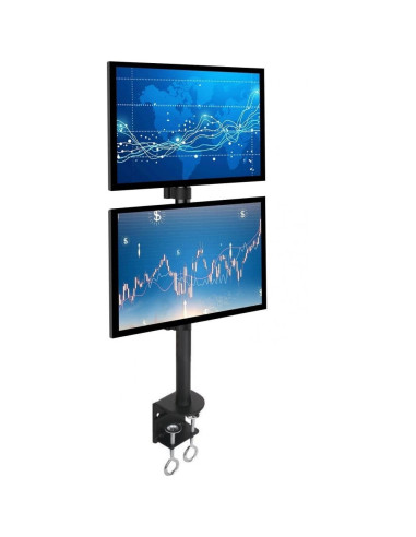 Supporto da Scrivania per 2 Monitor...