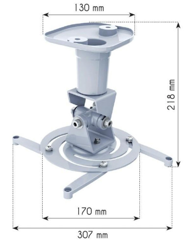 Staffa Universale a Soffitto per...