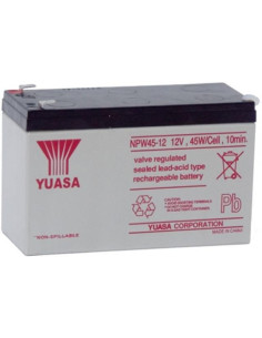 Batteria Piombo-Acido per...