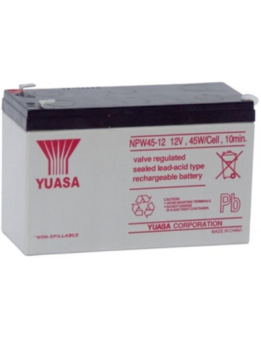 Batteria Piombo-Acido per UPS 12V...