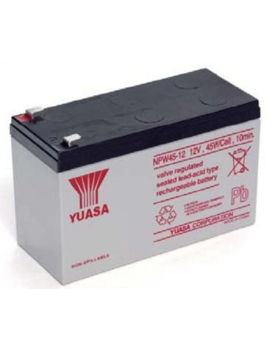 Batteria Piombo-Acido per UPS 12V...