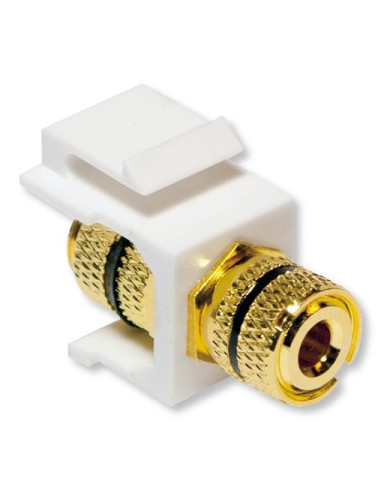 Adattatore Keystone con Terminali a...