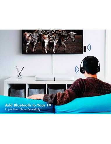 Trasmettitore Audio Bluetooth V5.1