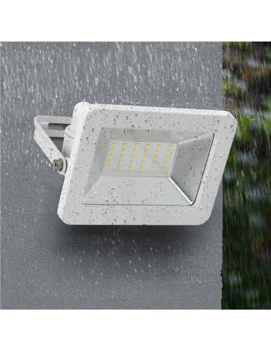 Faretto LED da Esterno IP65 30W Bianco