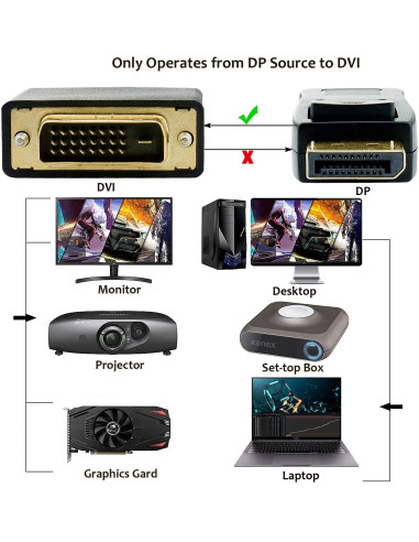 Cavo Monitor DisplayPort 1.2 a DVI 1m