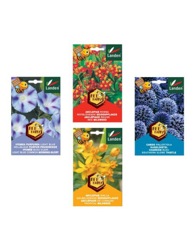 Sementi Landen 7700 Bee Happy Assortito