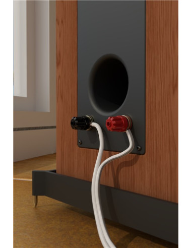 Cavo Audio per diffusori acustici...