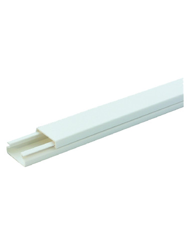 Canalina Passacavi mm 20 x 10 - mt. 2...