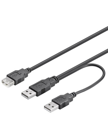 Cavo USB 2.0 ad Y 2xA maschio/A...