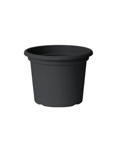 Vaso piante Euro 3 Plast 3134 62 GUYA...