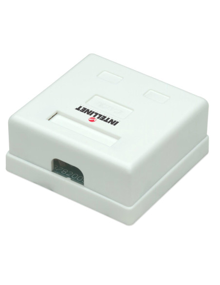 Presa a Muro con 2 Frutti RJ45 Cat. 5E UTP Beige