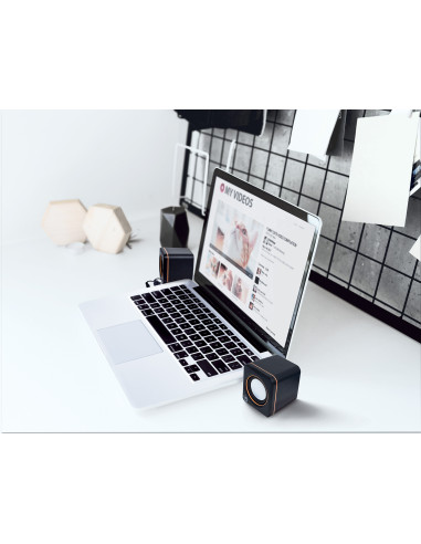 Casse Acustiche Mini per Notebook