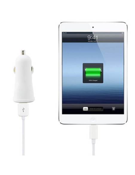 Caricatore da Auto Universale 2 Porte USB 5V 1A&2.1A Bianco