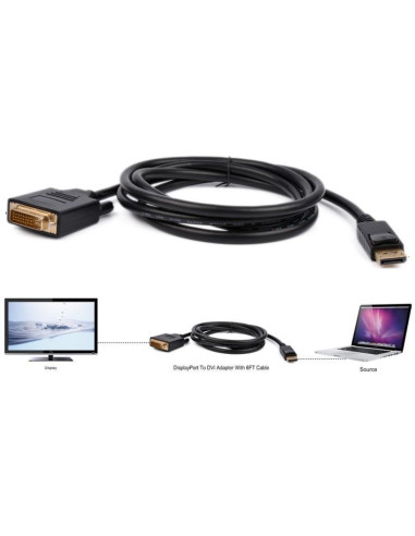 Cavo Monitor DisplayPort 1.2 a DVI 2m