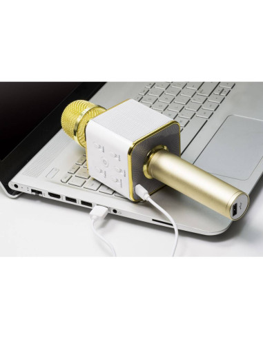 Microfono Karaoke Bluetooth con Speaker Stereo