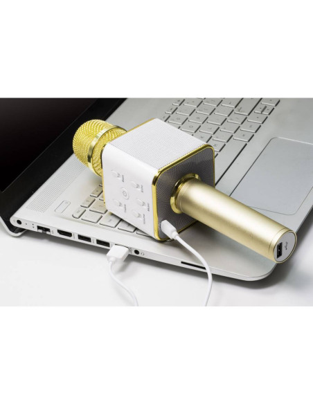 Microfono Karaoke Bluetooth con Speaker Stereo