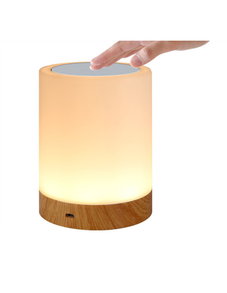 Lampada USB Smart Touch 5 Colori Selezionabili Regolazione Intensit&agrave