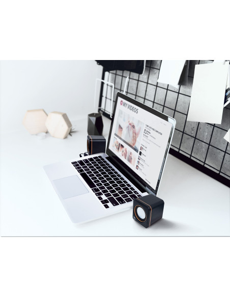 Casse Acustiche Mini per Notebook