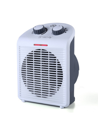 Termoventilatore Portatile 2 Regolazioni di Riscaldamento con Ventilazione IP21 2000W