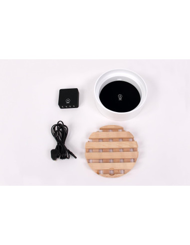 Trellis Charging Dock/4 prese USB...