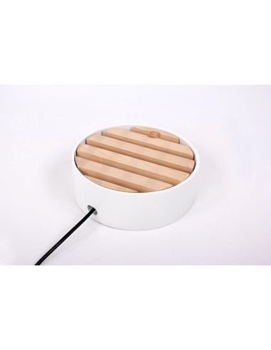 Trellis Charging Dock/4 prese USB...