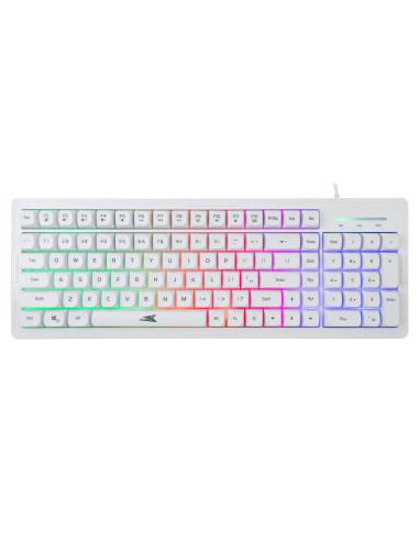 Kit Tastiera 101 Tasti e Mouse USB 7200 dpi Bianco