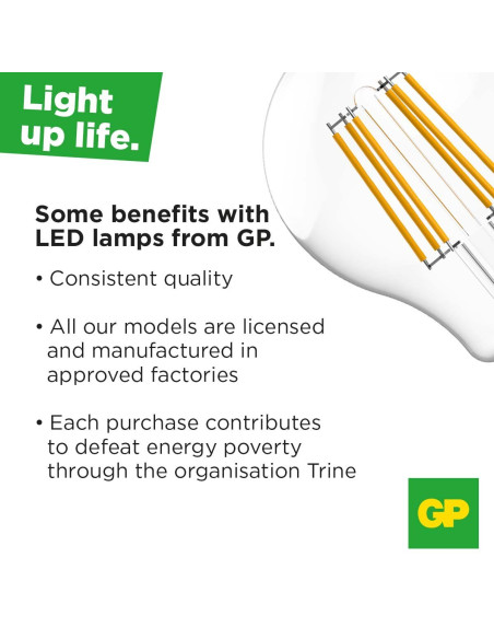Lampada LED Globo E27 Bianco Caldo 12W