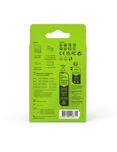 Caricabatterie per AA e AAA con 2 Batterie AA e 2 Batterie AAA Incluse