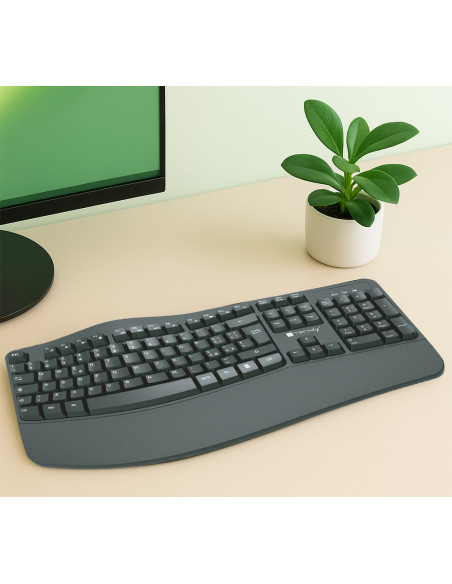 Tastiera Ergonomica Wireless Slim Design Curvo