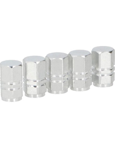 Dunlop - Valve caps (Silver)