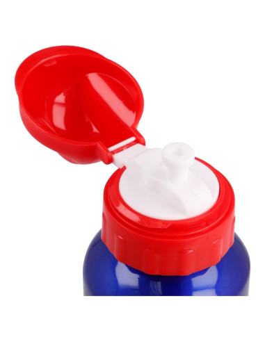 Mickey Mouse - Bottle 500 ml