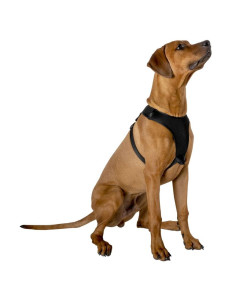 Harness / dog harness 67.6... 2
