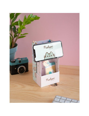 Pusheen - Organizer da scrivania...