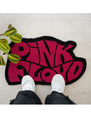 Pink Floyd - Eraser (62 x 38 cm)