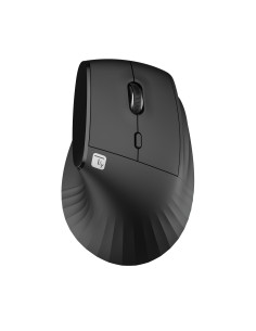 Mouse Ergonomico RGB Wireless + USB 2.4G Nero