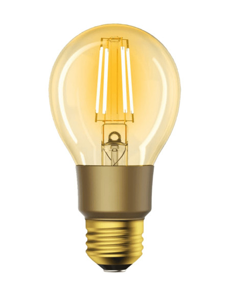 Lampadina LED E27 con Filamento Smart Controllo Vocale Alexa F