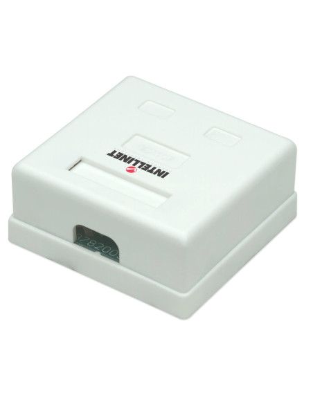 Presa a Muro con 2 Frutti RJ45 Cat. 5E UTP Beige