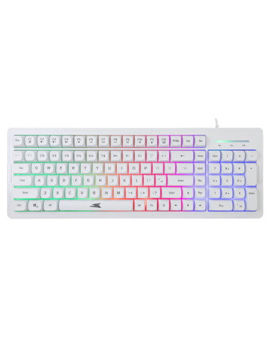 Kit Tastiera 101 Tasti e Mouse USB 7200 Dpi Bianco