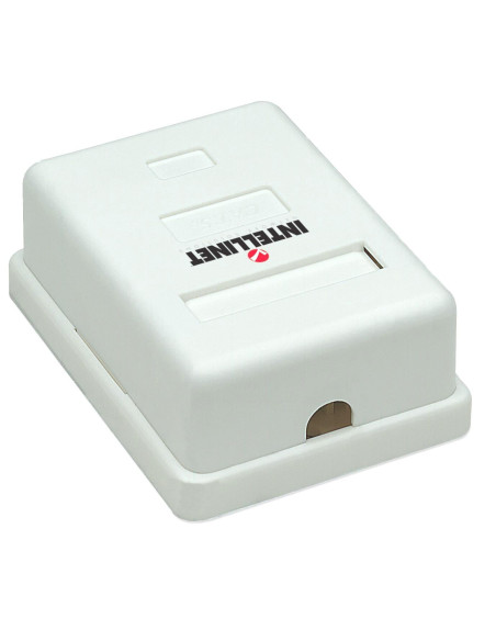 Presa a Muro con Frutto RJ45 Cat. 5E UTP Beige